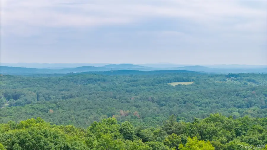 TBD Skinner Lane, Athens, NY 12015 - #2