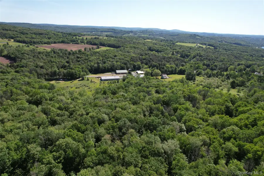 TBD Jeffersonville North Branch Road, Jeffersonville, NY 12748 - #3