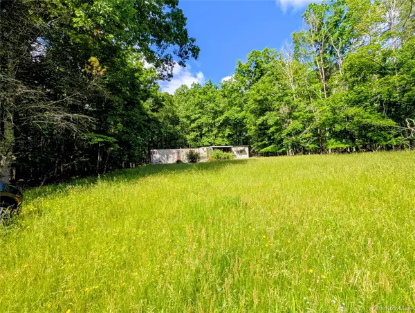 0 State Route 97, Narrowsburg, NY 12764