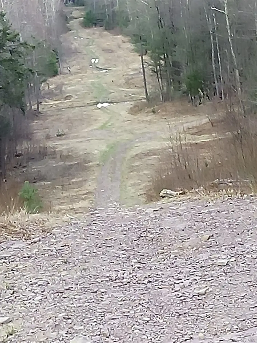 Gibber Road, Kiamesha Lake, NY 12751 - #3