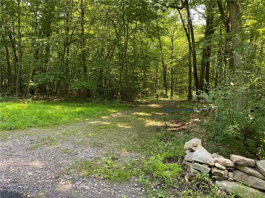554 & 545 E Mountain Road N, Cold Spring, NY 10516 - #2