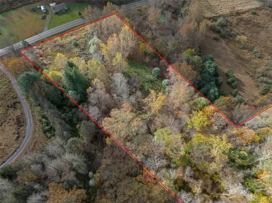 22 State Route 52a, Kenoza Lake, NY 12750 - #3