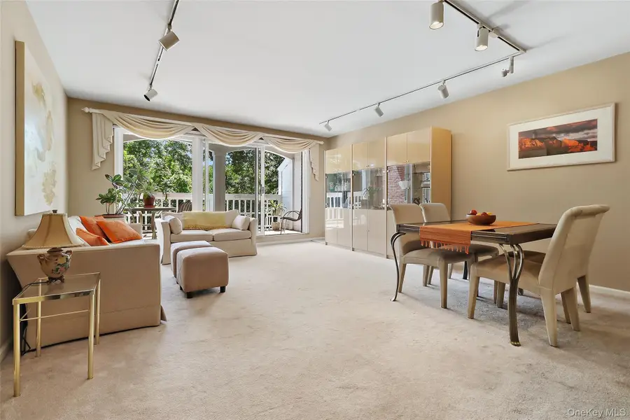 45 Copley Court #45, Briarcliff Manor, NY 10510 - #3