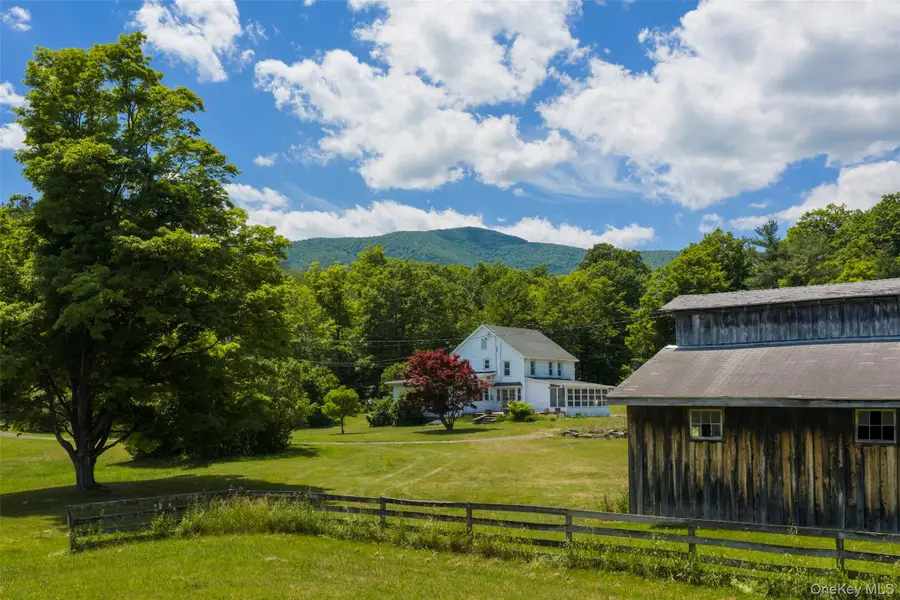 80 Old South Durham Highway, Acra, NY 12405 - #2