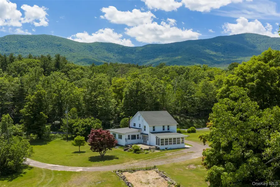 80 Old South Durham Highway, Acra, NY 12405 - #3