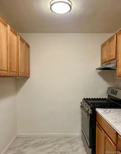 310 Lenox Road # 4U, Brooklyn, NY 11226 - #3