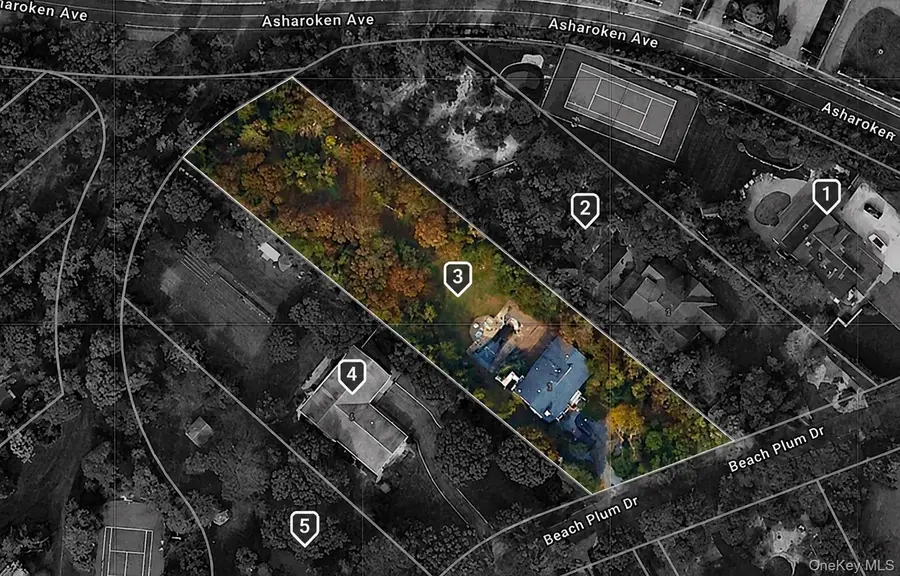 3 Beach Plum Drive, Northport, NY 11768 - #2