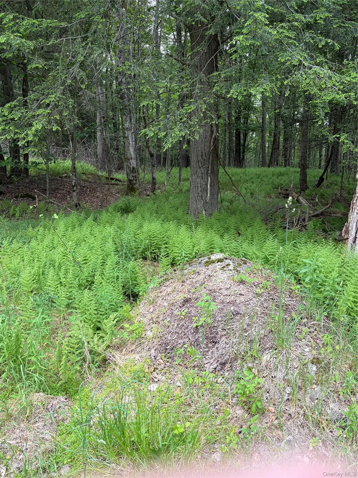 Creamery Road, Mongaup Valley, NY 12701 - #1