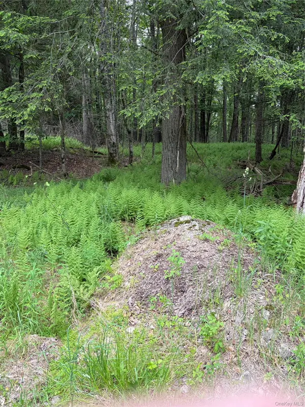 Creamery Road, Bethel, NY 12701