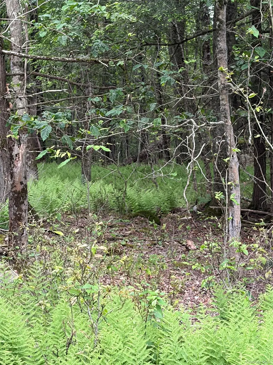 Creamery Road, Mongaup Valley, NY 12701 - #3