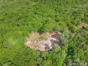 S White Rock Road, Holmes, NY 12564 - #2