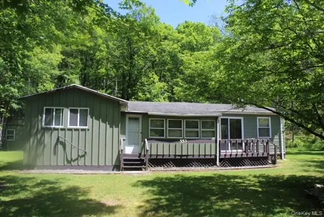 553 Friedenstein Road, Long Eddy, NY 12760 - #1