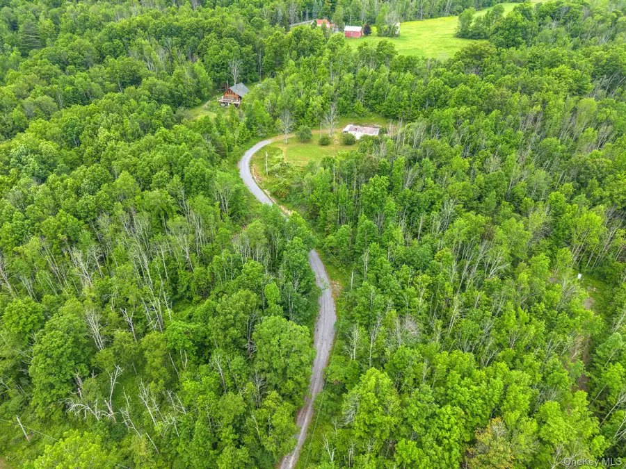 127 Grassy Road, Blenheim, NY 12131 - #2