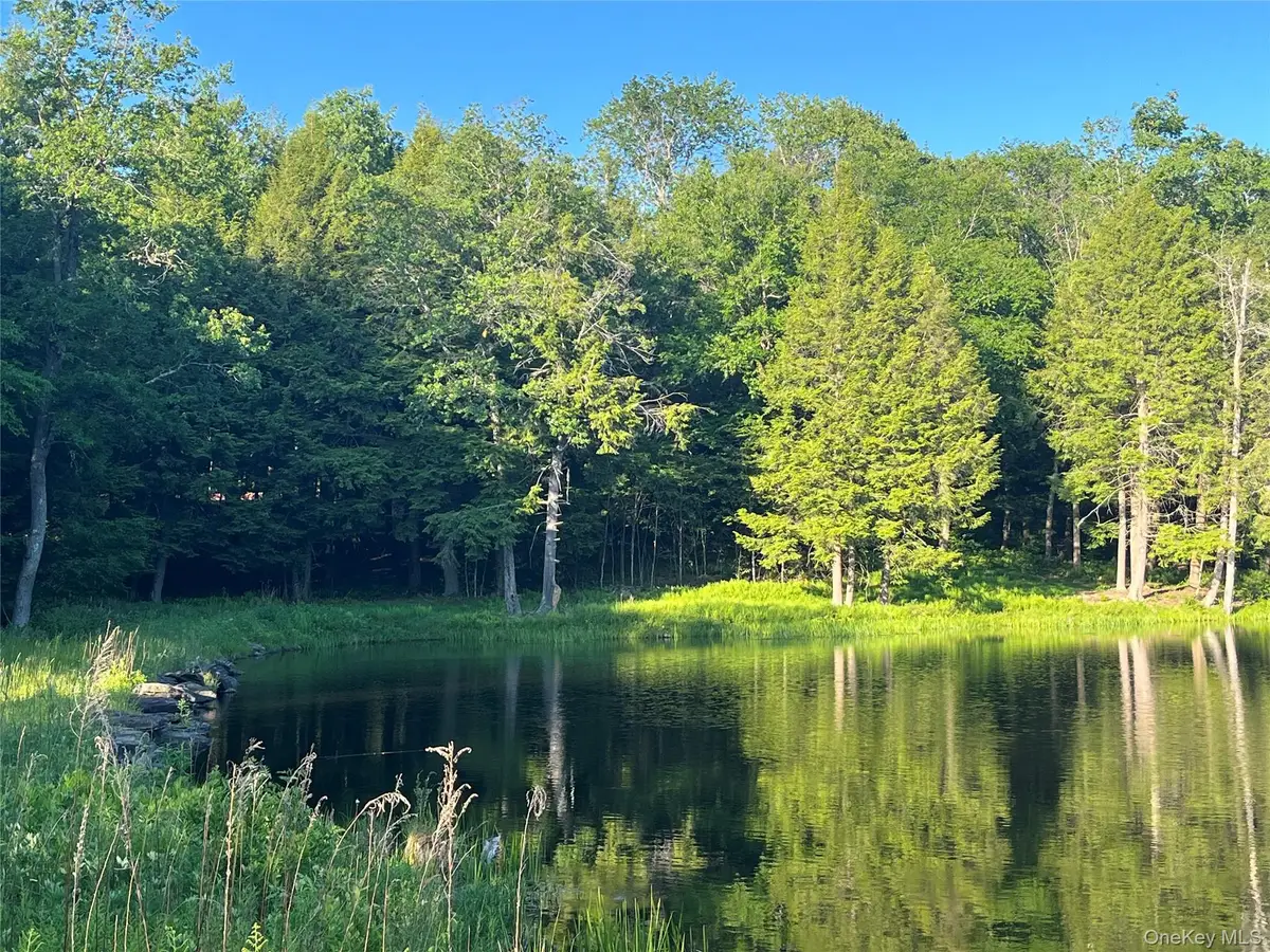 4 Cold Creek Pass, Parksville, NY 12768 - #1