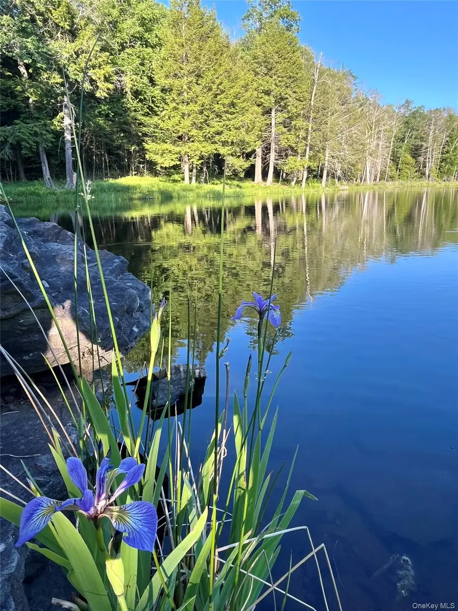 4 Cold Creek Pass, Parksville, NY 12768 - #2