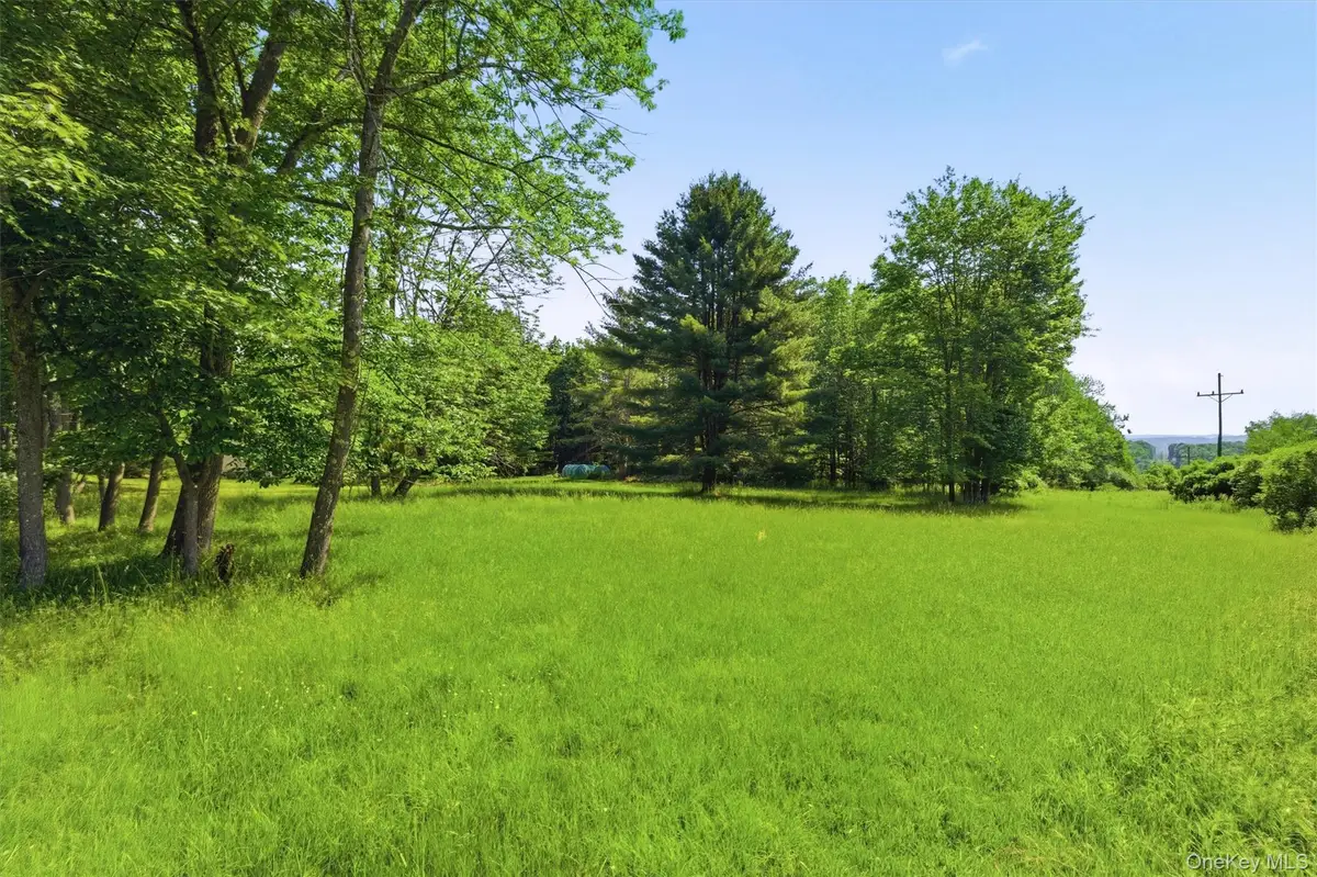 TBD Britman Road, Bethel, NY 12720 - #1