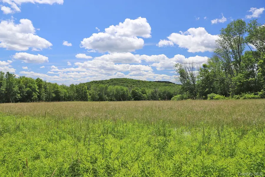Dietz Road, Callicoon Center, NY 12724 - #2