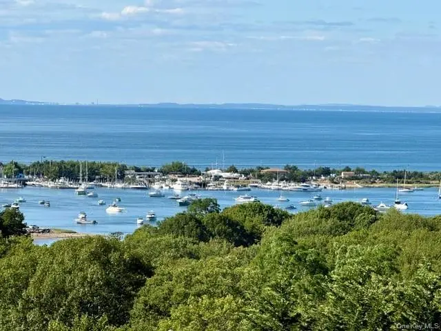 32 Contessa Court, Port Jefferson, NY 11777 - #2