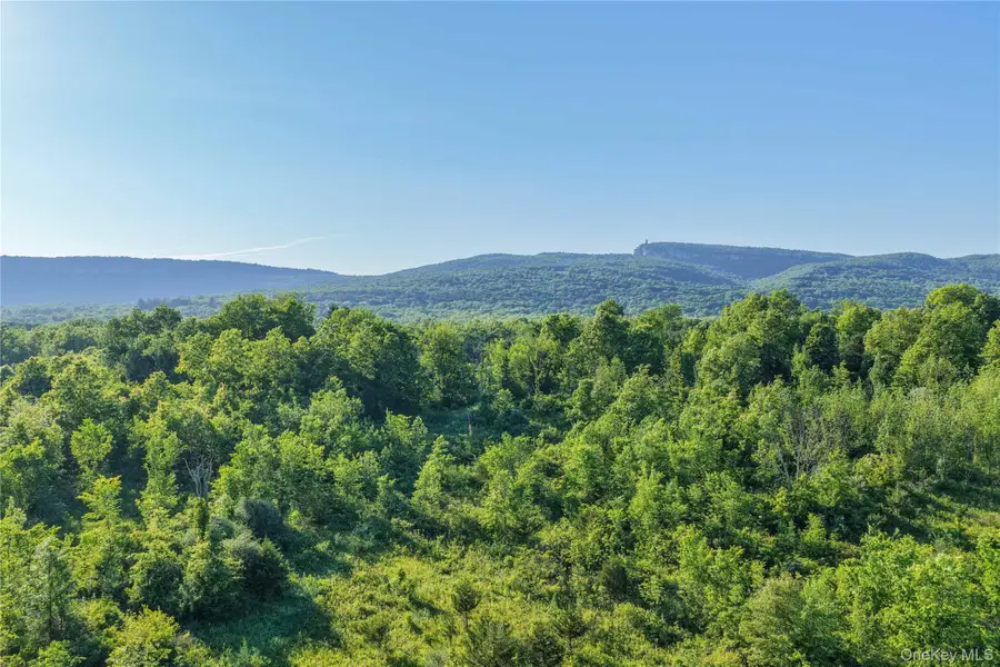 561 Albany Post Road, New Paltz, NY 12561 - #3