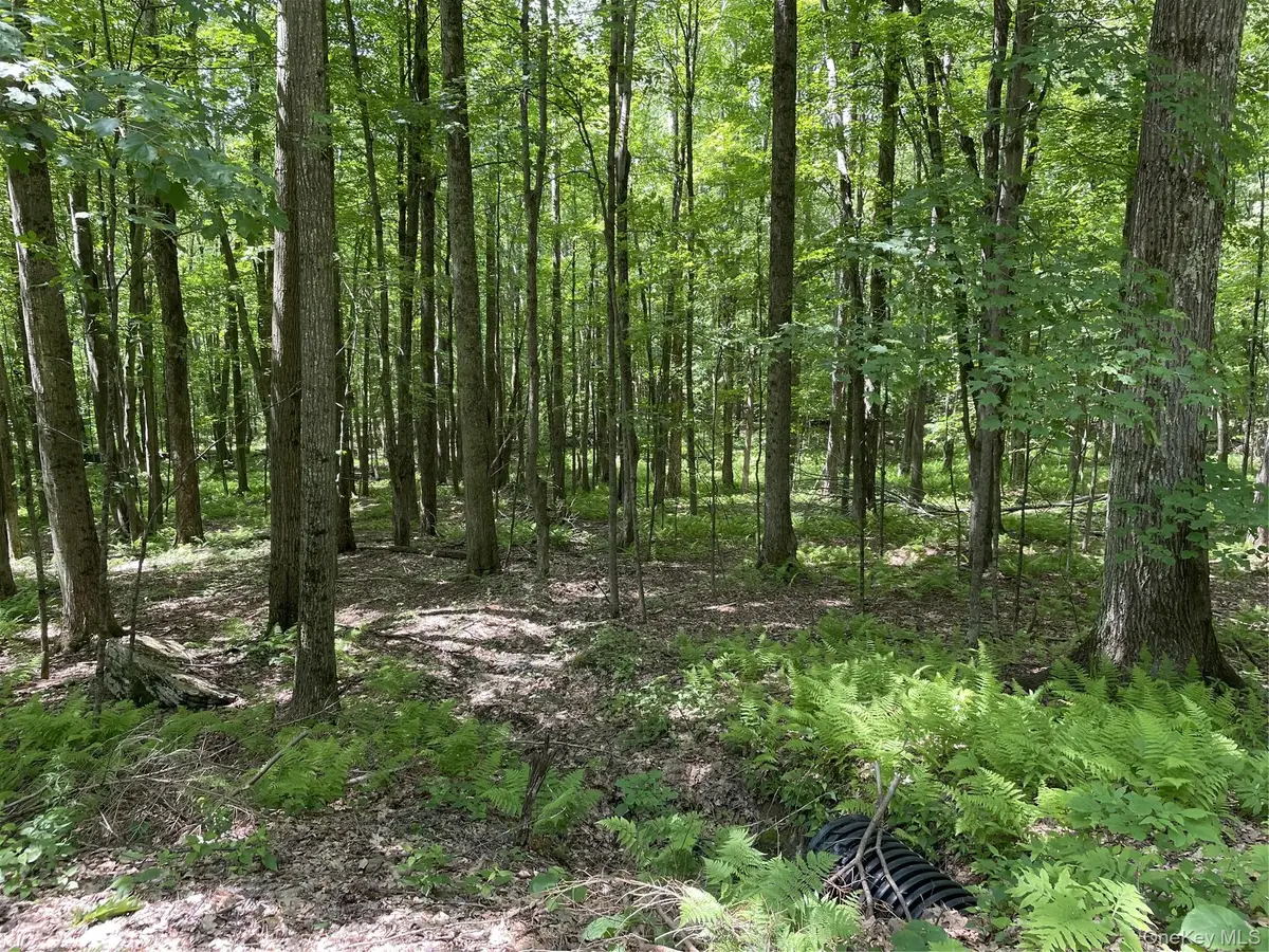 Skip Gray Road, Delancey, NY 13752 - #1