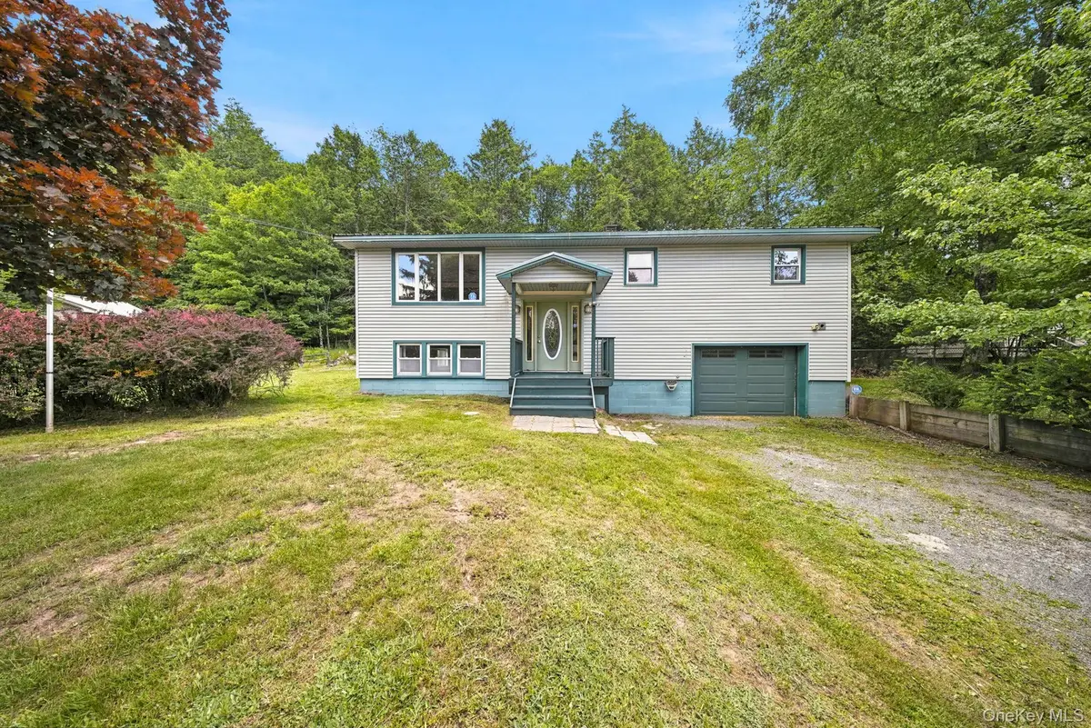 157 Ballard Road, Mongaup Valley, NY 12762 - #1