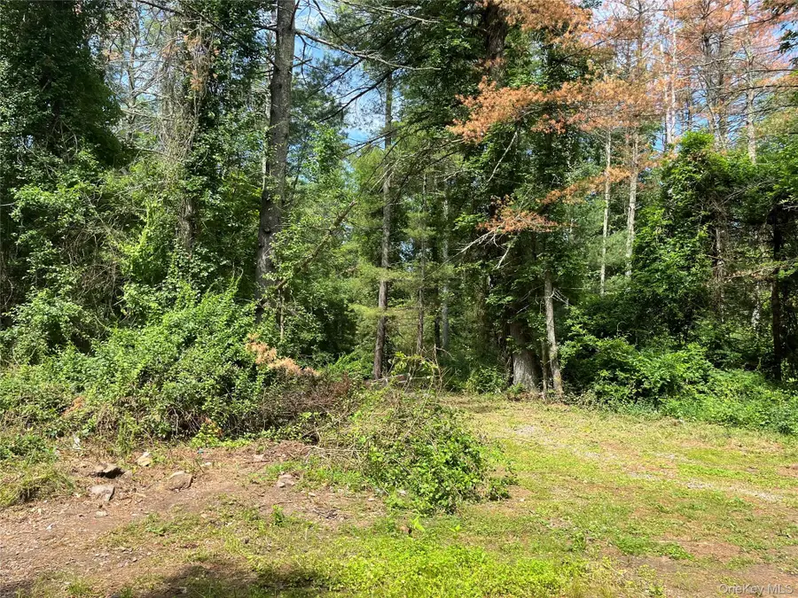 1145 Glasco Turnpike, Saugerties, NY 12477 - #2