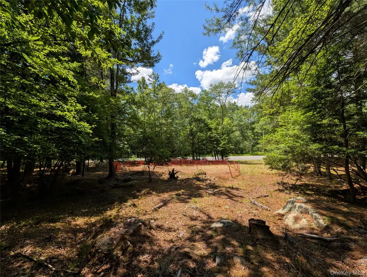 Ballard Road, Bethel, NY 12720 - #1