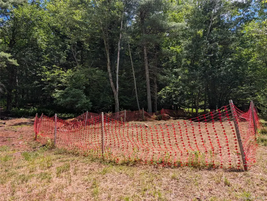 Ballard Road, Bethel, NY 12720 - #3
