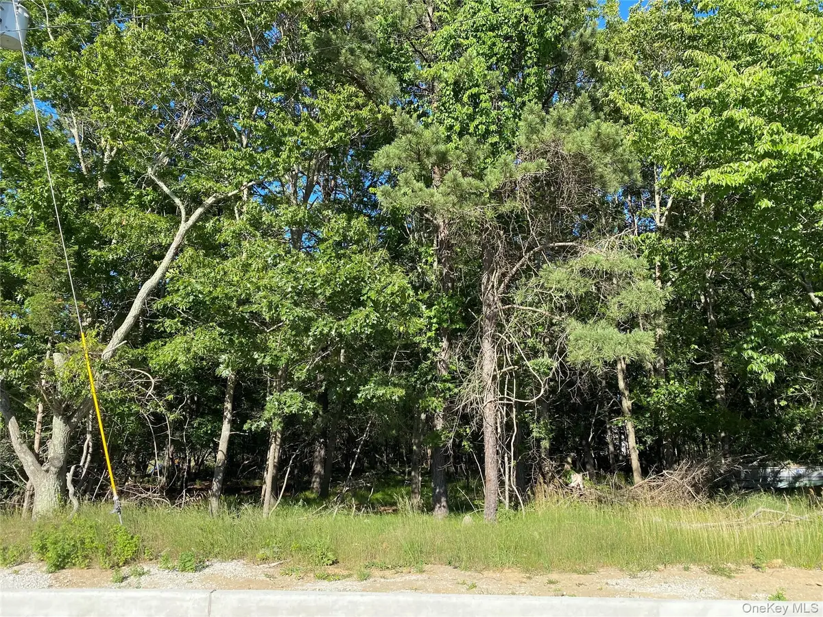 Pleasant Avenue, Medford, NY 11763 - #1