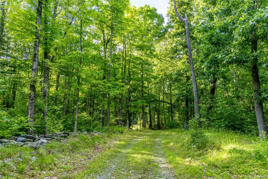 Mallory Road, Verbank, NY 12585 - #2