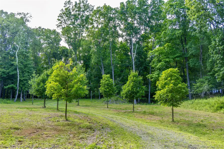 Mallory Road, Verbank, NY 12585 - #3