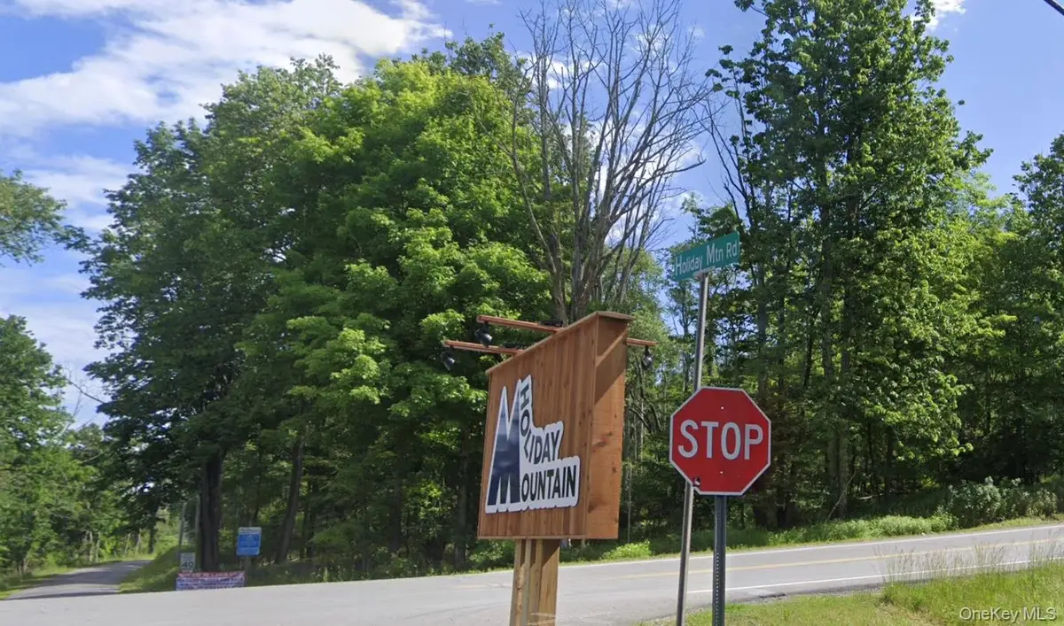 Edwards Road, Rock Hill, NY 12775 - #1