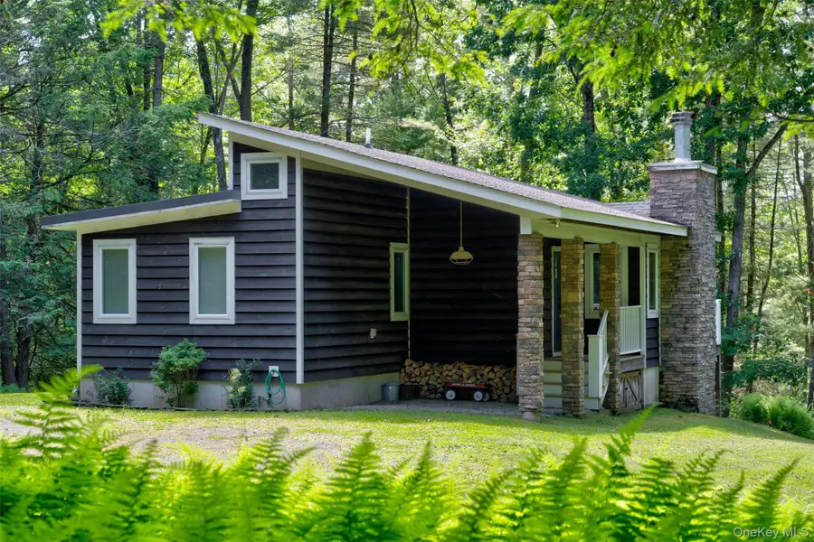 265 Lake Ridge Road, Narrowsburg, NY 12764 - #3
