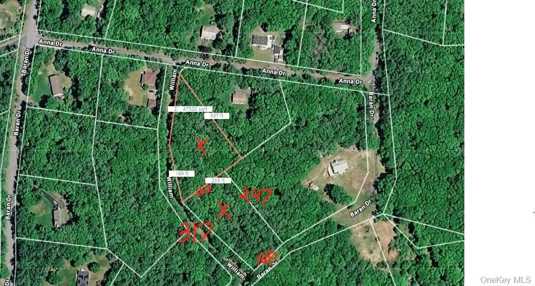 Lot 27 William Street, Glen Spey, NY 12737 - #1