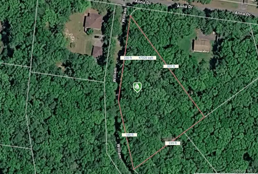 Lot 27 William Street, Glen Spey, NY 12737 - #3