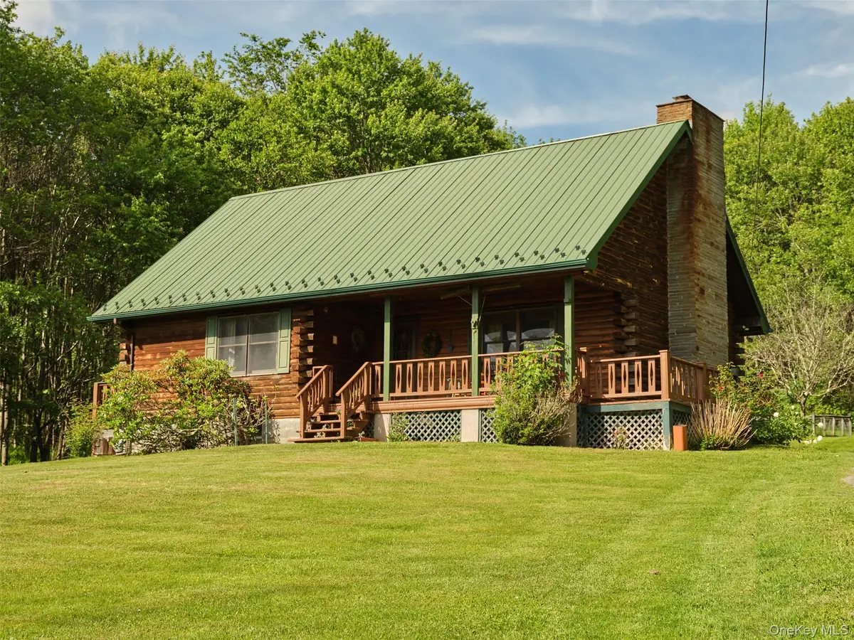 129 Elk Point Road, Livingston Manor, NY 12758 - #1