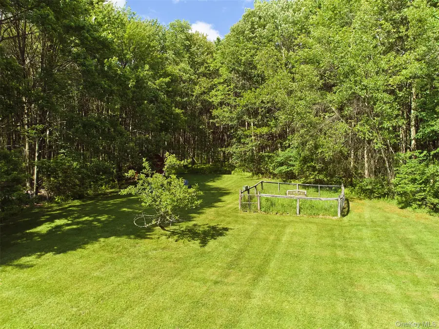129 Elk Point Road, Livingston Manor, NY 12758 - #3