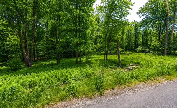 135 Rose Valley, Monticello, NY 12701