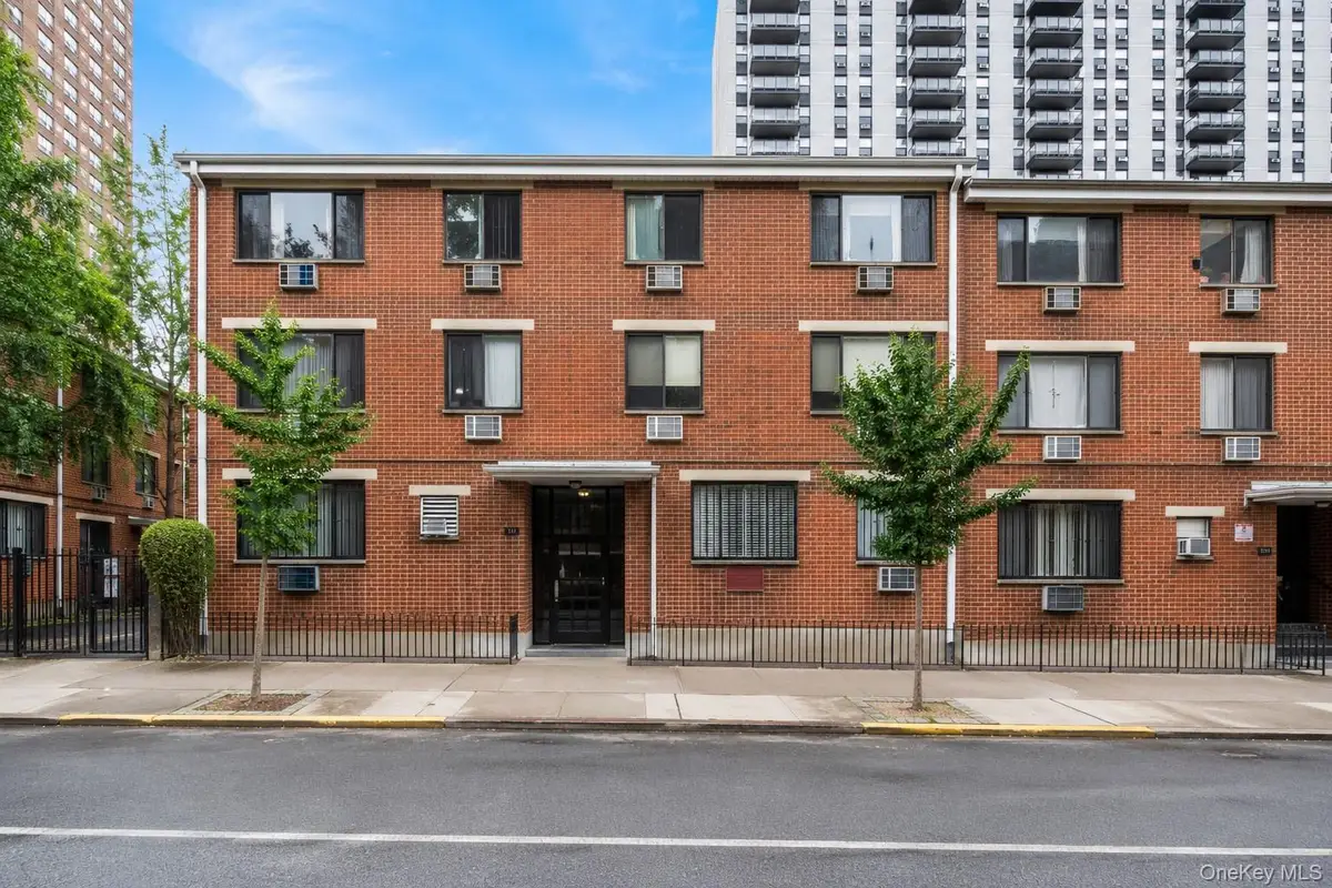 311 Cherry Street #L3, Manhattan, NY 10002 - #1