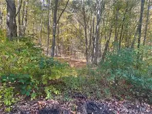 0 Budd Lane, Millerton, NY 12546