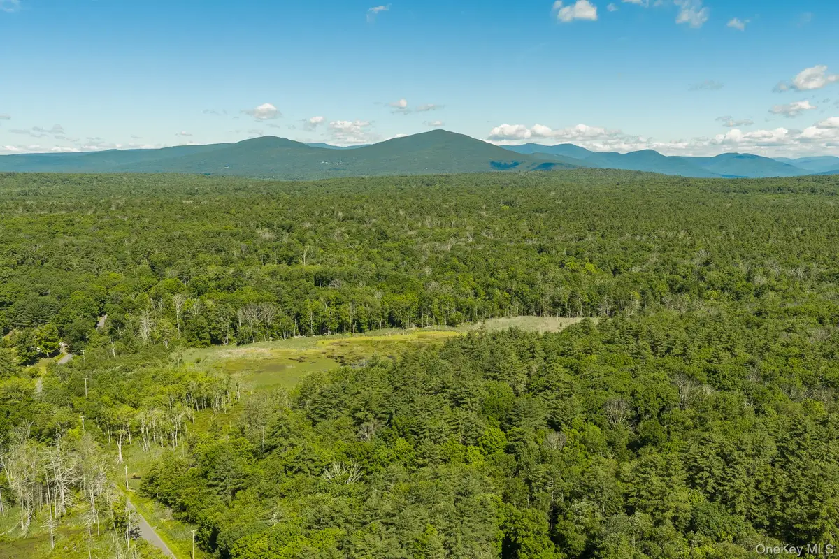 TBD Buck Road, Stone Ridge, NY 12484 - #1
