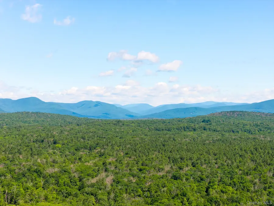 TBD Buck Road, Stone Ridge, NY 12484 - #2