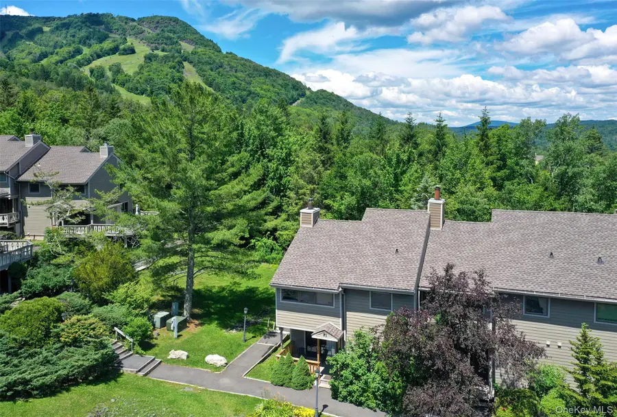 56 Highlands Drive #F1, Hunter, NY 12442 - #3