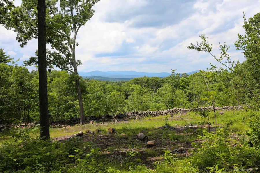 750 Cow Hough Road, New Paltz, NY 12561 - #2