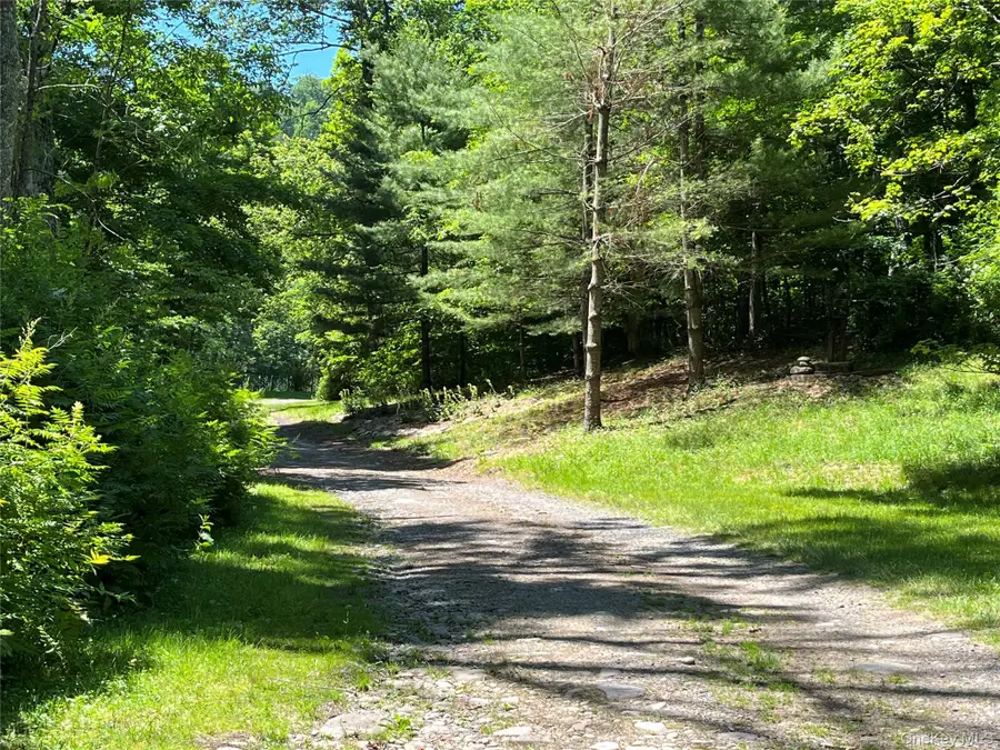 938 Woodland Valley Road, Phoenicia, NY 12464 - #3