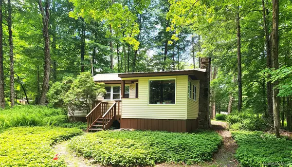 24 Eldridge Street S, Smallwood, NY 12778