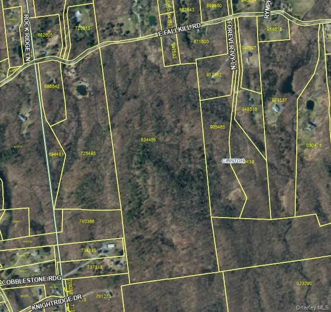 E Fallkill Road, Clinton Corners, NY 12514 - #2