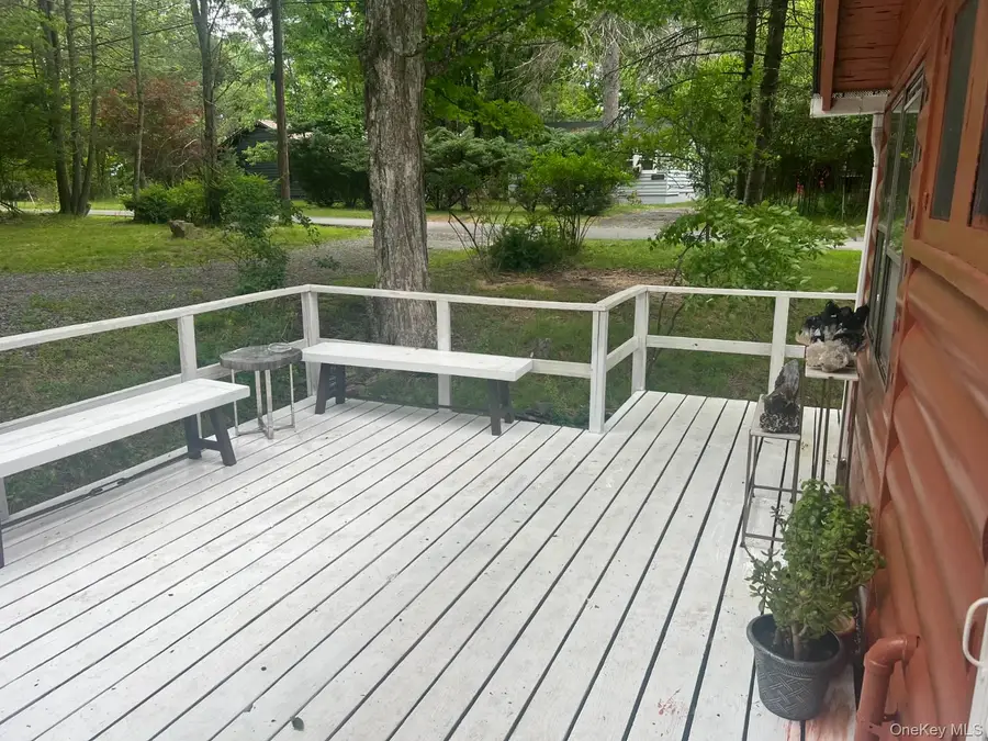 118 E Thompson Place, Smallwood, NY 12778 - #2