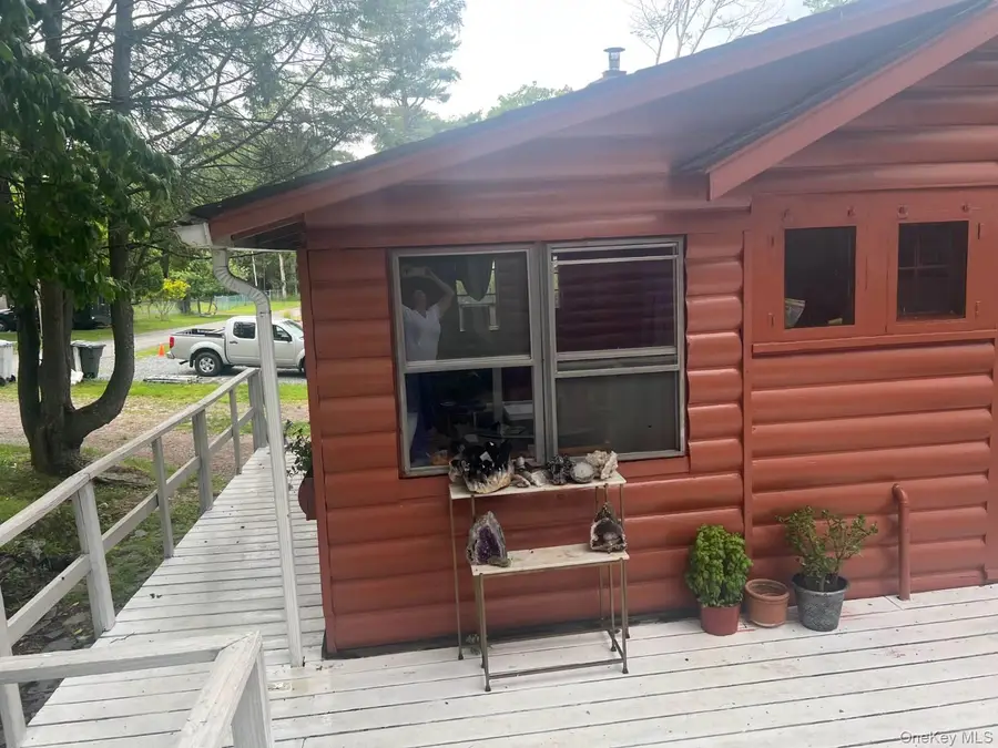 118 E Thompson Place, Smallwood, NY 12778 - #3