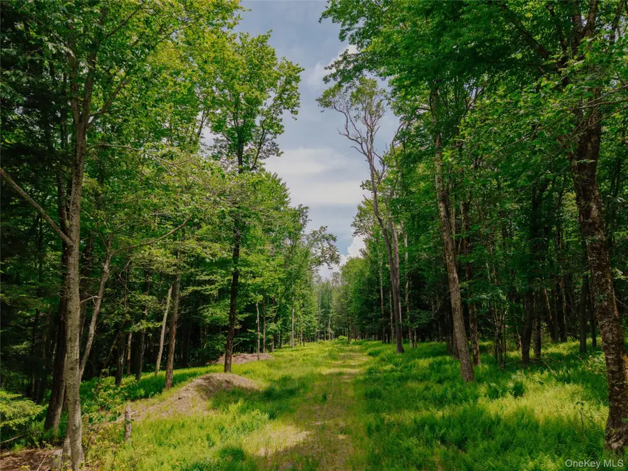 TBD Church Lake Road, Livingston Manor, NY 12758 - #2